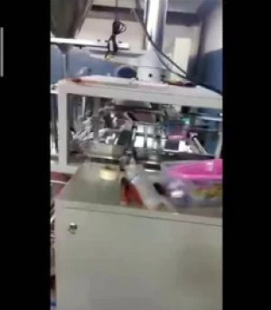 collor-type-pneumatic-pouch-packaging-machine-500x500 (2)